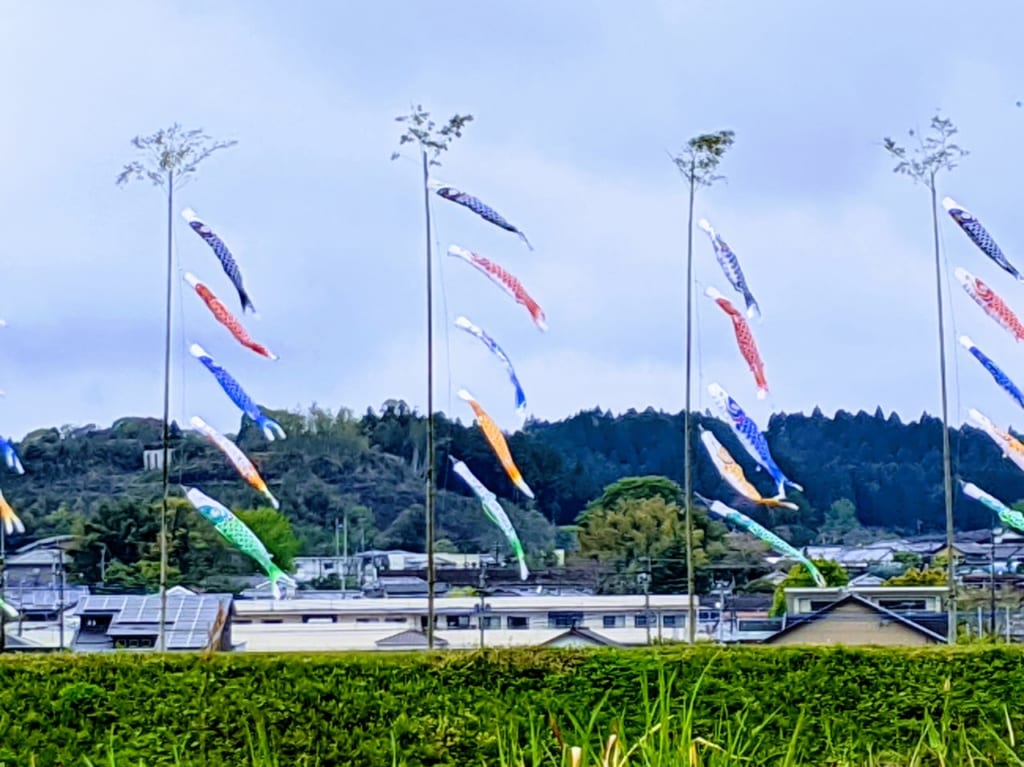 庄内川鯉のぼり